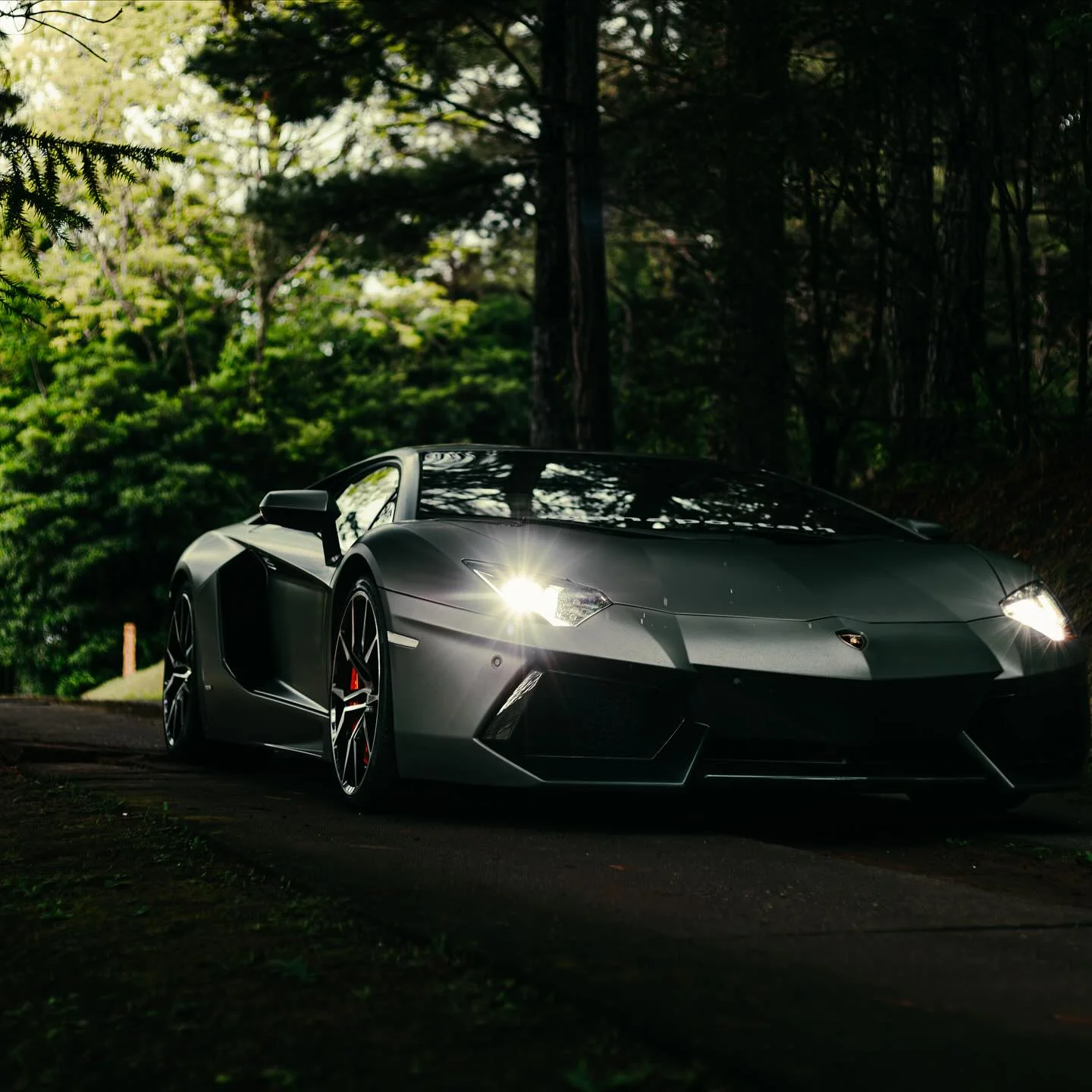 Lamborghini Aventador grafite de um membro do Super Carros Alphaville, faróis acesos, em meio à mata ao entardecer